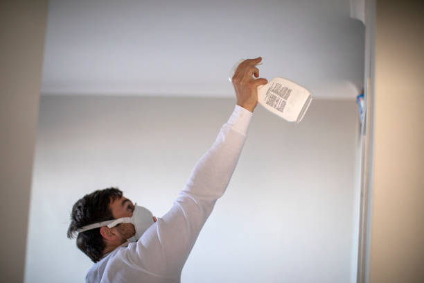 Professional Mold Removal in Union, MS