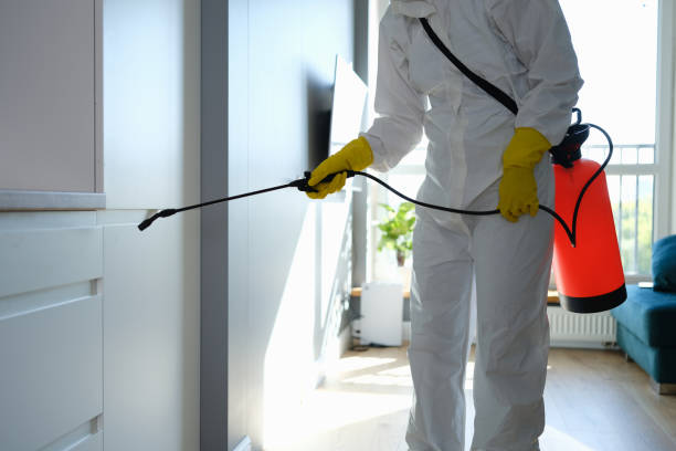 Best Home Mold Removal  in Union, MS
