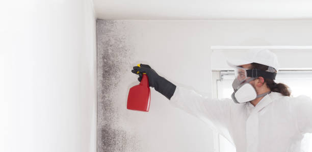 Best Crawl Space Mold Removal  in Union, MS